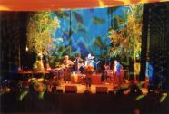 AXEL MOLL | DUO bis BAND |POP/JAZZ/LATIN