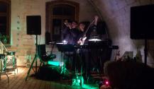 Albatros Hochzeitsband / Partyband, Trio oder Duo 