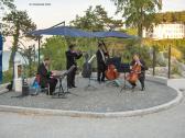 Salonphilharmoniker