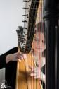 Simone Sorgalla - Gesang und Harfe