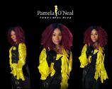 Soul Funk Band feat Pamela O&#039;Neal