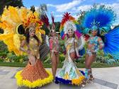 Viva Brasil Sambashow