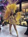 Viva Brasil Sambashow