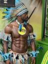 Viva Brasil Sambashow