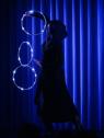 Magic Show Gothic Natalia Bakun