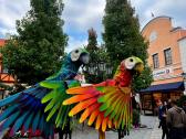 tierische Walkacts Les Lionnes - Lichterparaden- Weihnachtsparaden
