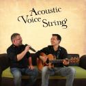 Acoustic Voice String - Swen &amp; Herbie