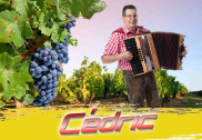 Solomusiker Cédric