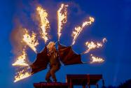 FIRELOVERS