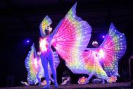 Arabesque: LED & Dance Shows