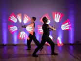 Flamba Lights LED-/Lichtshow