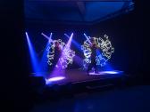 Flamba Lights LED-/Lichtshow