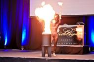 FIRE SHOWS and more
