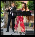 Live-Musik Trio Classic Deluxe