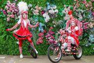 Passionata - Walk Acts &amp; Artisten