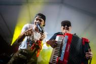 Berghirsche Party-/Oktoberfestband