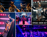 LED-EDELSTEINE, TÄNZER UND LICHTSHOWS
