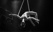Oscar Kaufmann - The Flying Gentleman