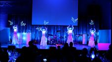 Illumera - Lady LED &amp; Akrobatik Show