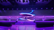Illumera - Lady LED &amp; Akrobatik Show