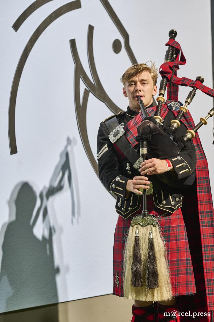 Johnston & Murphy 外羽根式Uチップ 8/26cm 高級ライン