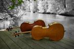 DuoDueVioloncelli