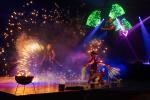 Flamba Feuershow und Lichtshow