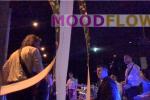 Moodflow - Music