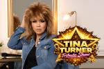 Tina Turner Tribute Show