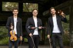 Violin Guys moderne Musik auf 3 Geigen