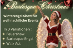 FIRE SHOWS and more