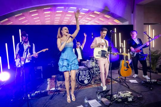BIRDDOGS - Coverband & Partyband