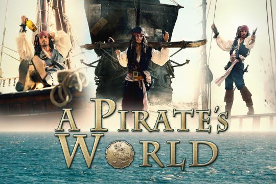 A Pirate's World A Pirate's World