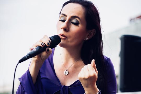Vici Vienna Acoustic Rock