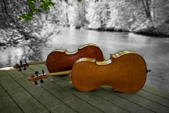 DuoDueVioloncelli
