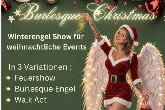 FIRE SHOWS and more