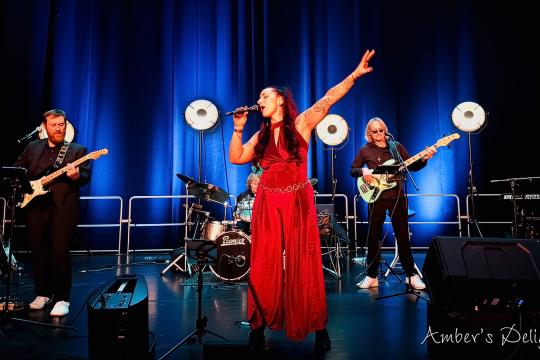 Amber's Delight | Partyband 3-8 Musiker