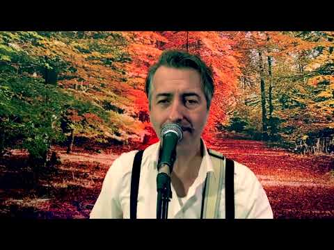 Video: BÄR Solo