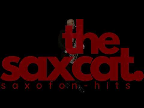 Video: the saxcat.