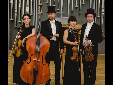 Video: Musica Viva