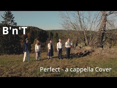 Video: Perfect - a cappella Version von B'n'T