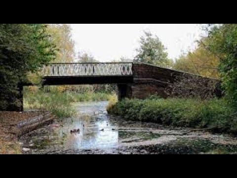 Video: Dirty old town, Red Prairy dawn; Grey eagle