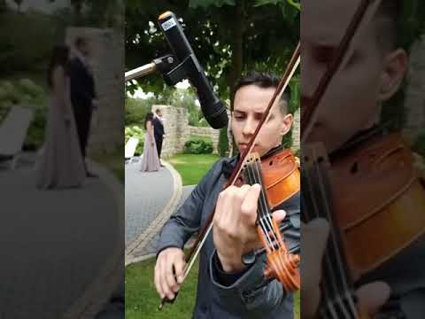 Video: Luis Ortega live - Geiger für Veranstaltungen aller Art