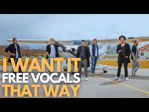 Video: I Want It That Way - Cover