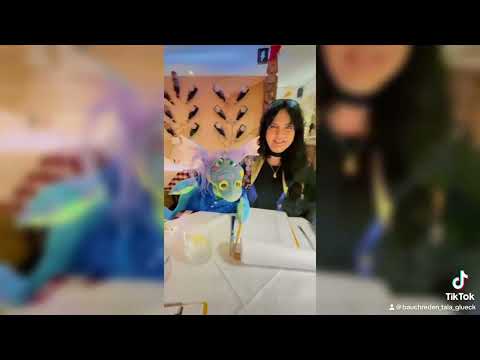 Video: Kleine Zusammenfassung