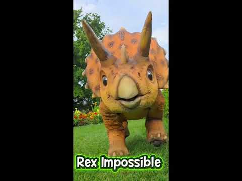 Video: Trudi - voll ferngesteuerter Triceratops Roboter