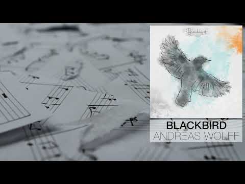 Video: Blackbird (Eigenkomposition)