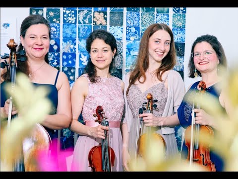 Video: Für Firmenfeiern: Solo-Violine, Trio und Streichquartett