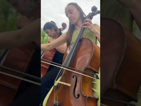 Video: Kanon in D - Pachelbel