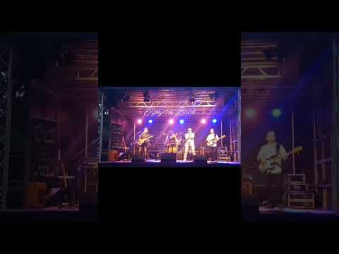 Video: Longtrain running - Liveausschnitt